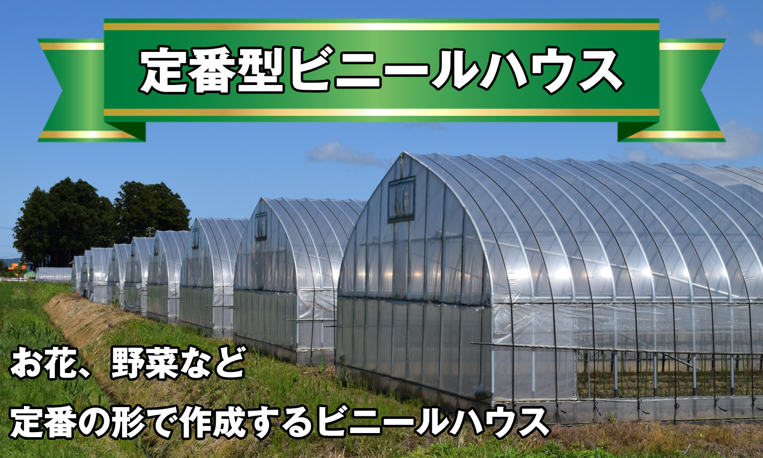 ラインナップ商品